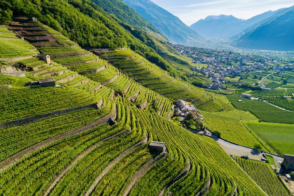 Agricoltura e Pesca efficienti e innovative